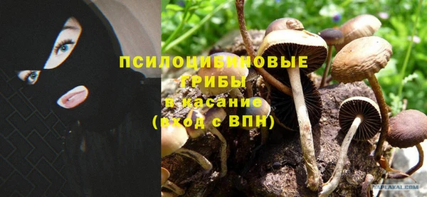 сатива Абдулино