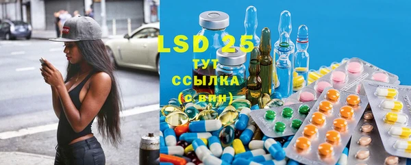 стафф Покачи